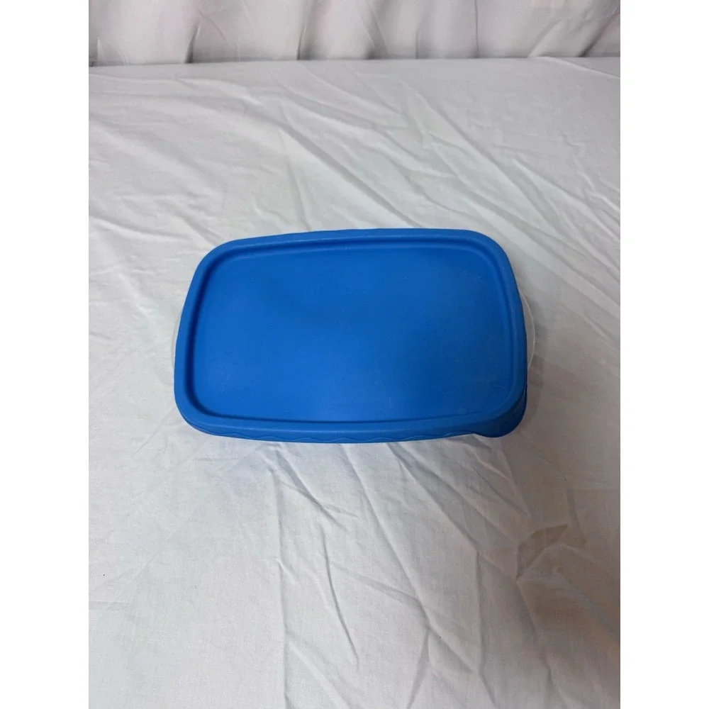 Rubbermaid TakeAlongs Blue Lid Divided Container 832A-1 3.7 Cups Vintage Plastic